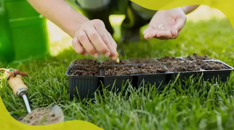 Garden Tools & Watering Equipment